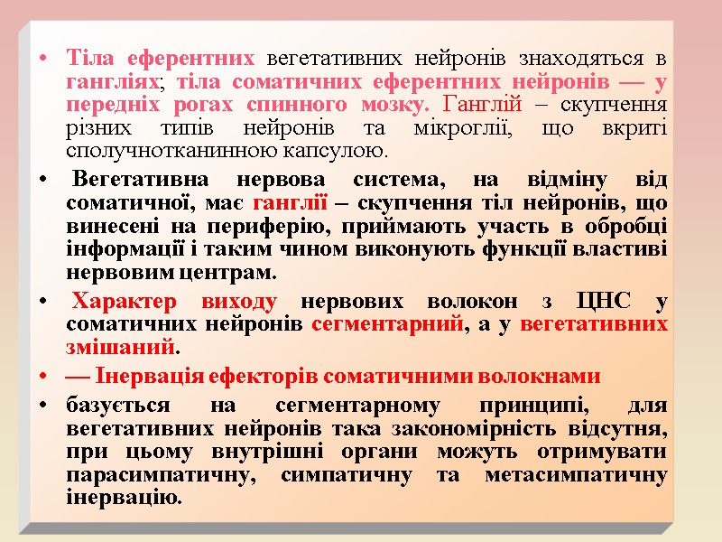 Тіла еферентних вегетативних нейронів знаходяться в гангліях; тіла соматичних еферентних нейронів — у передніх